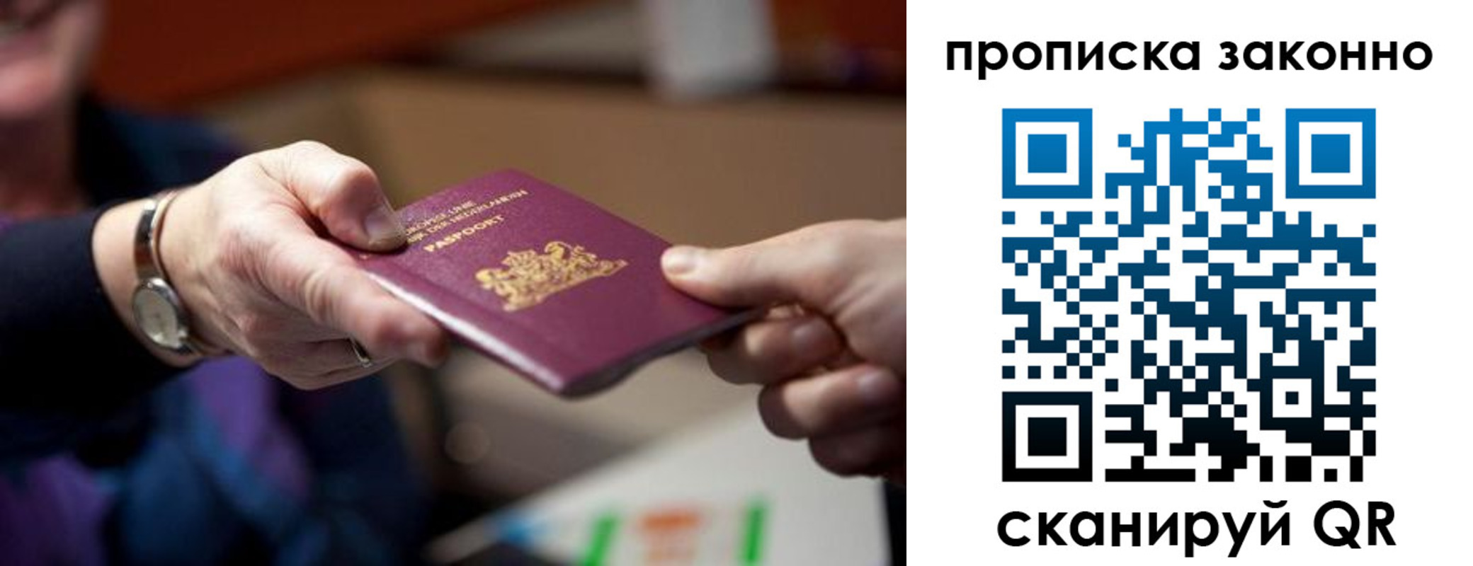 найти адрес прописки в Гвардейске